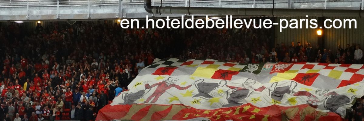 en.hoteldebellevue-paris.com